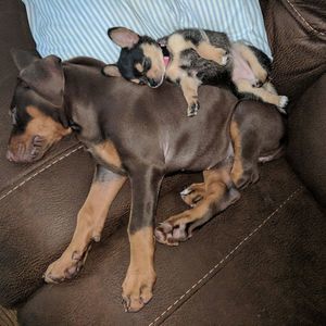 Meet your Posher, Tammy